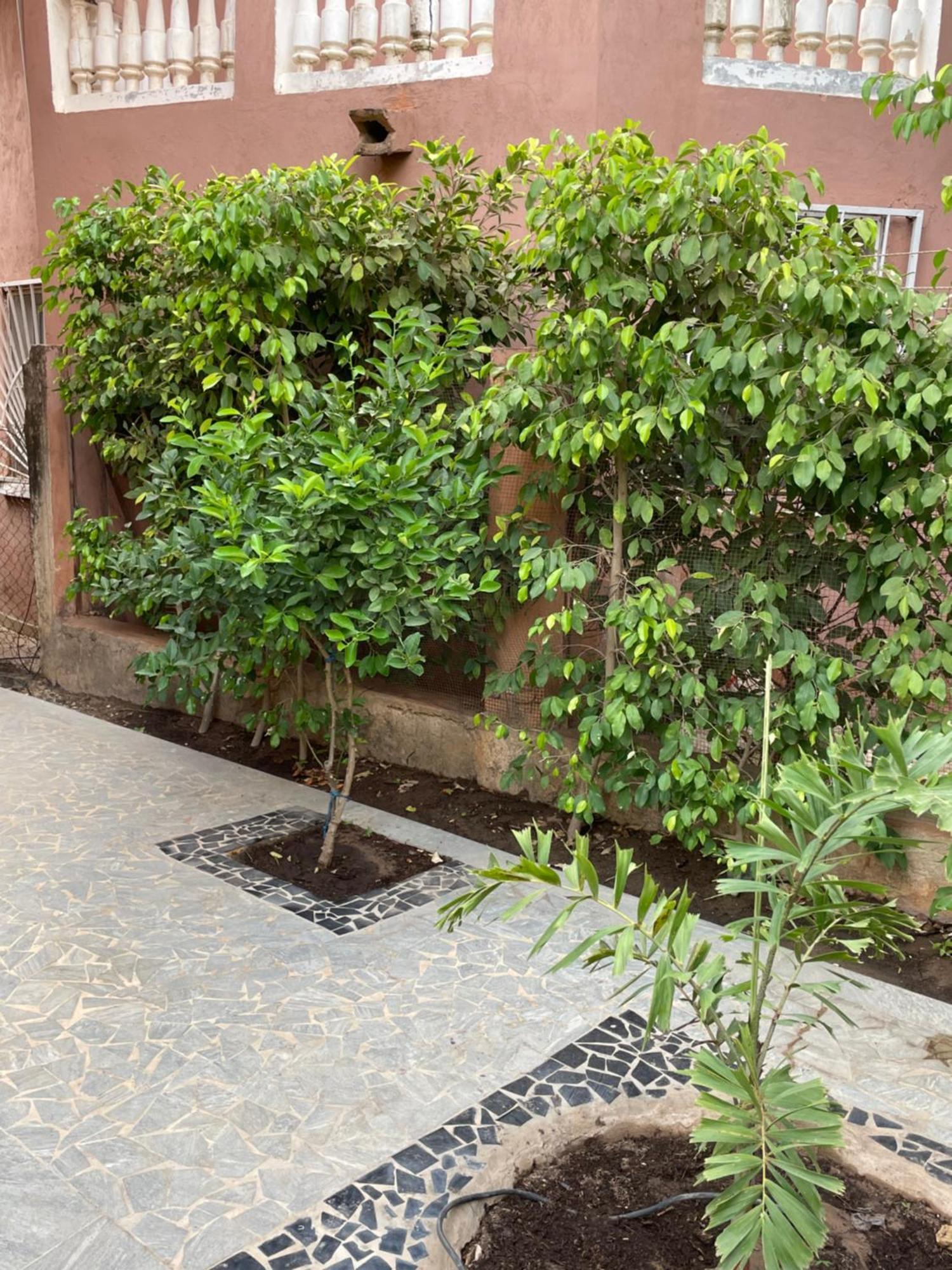 Saly Villa18 Safari Village מראה חיצוני תמונה