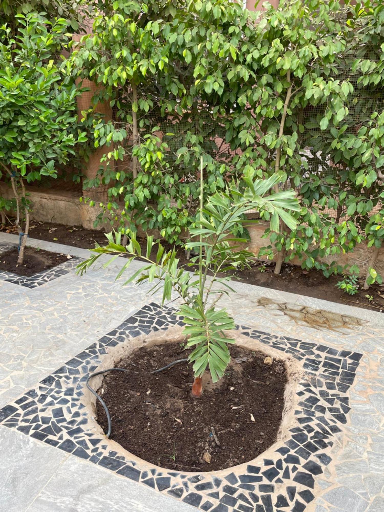 Saly Villa18 Safari Village מראה חיצוני תמונה